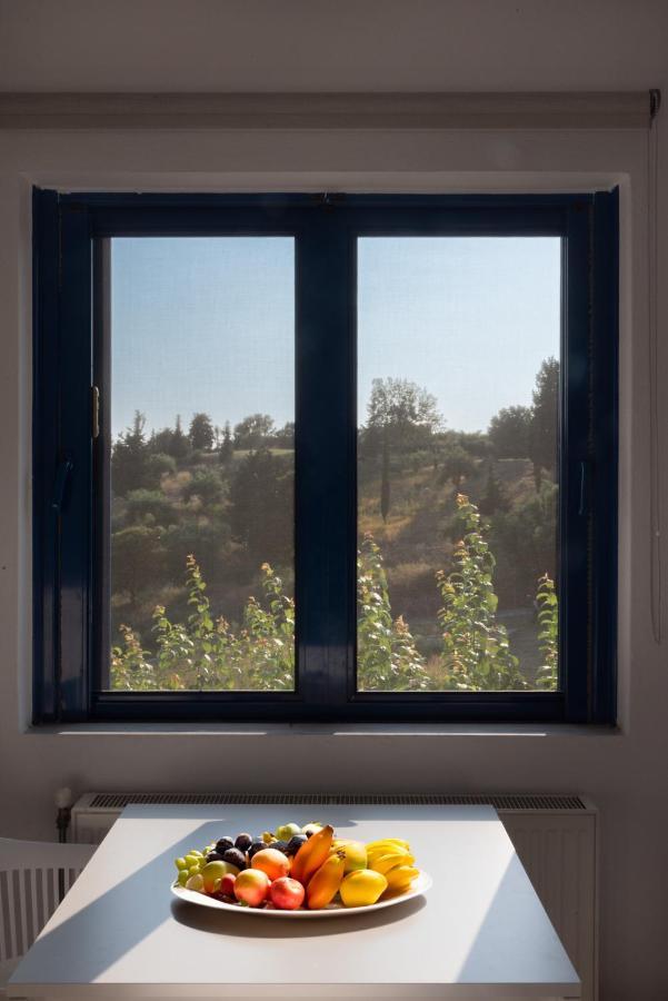 Villa Rodanthi Sivota Buitenkant foto